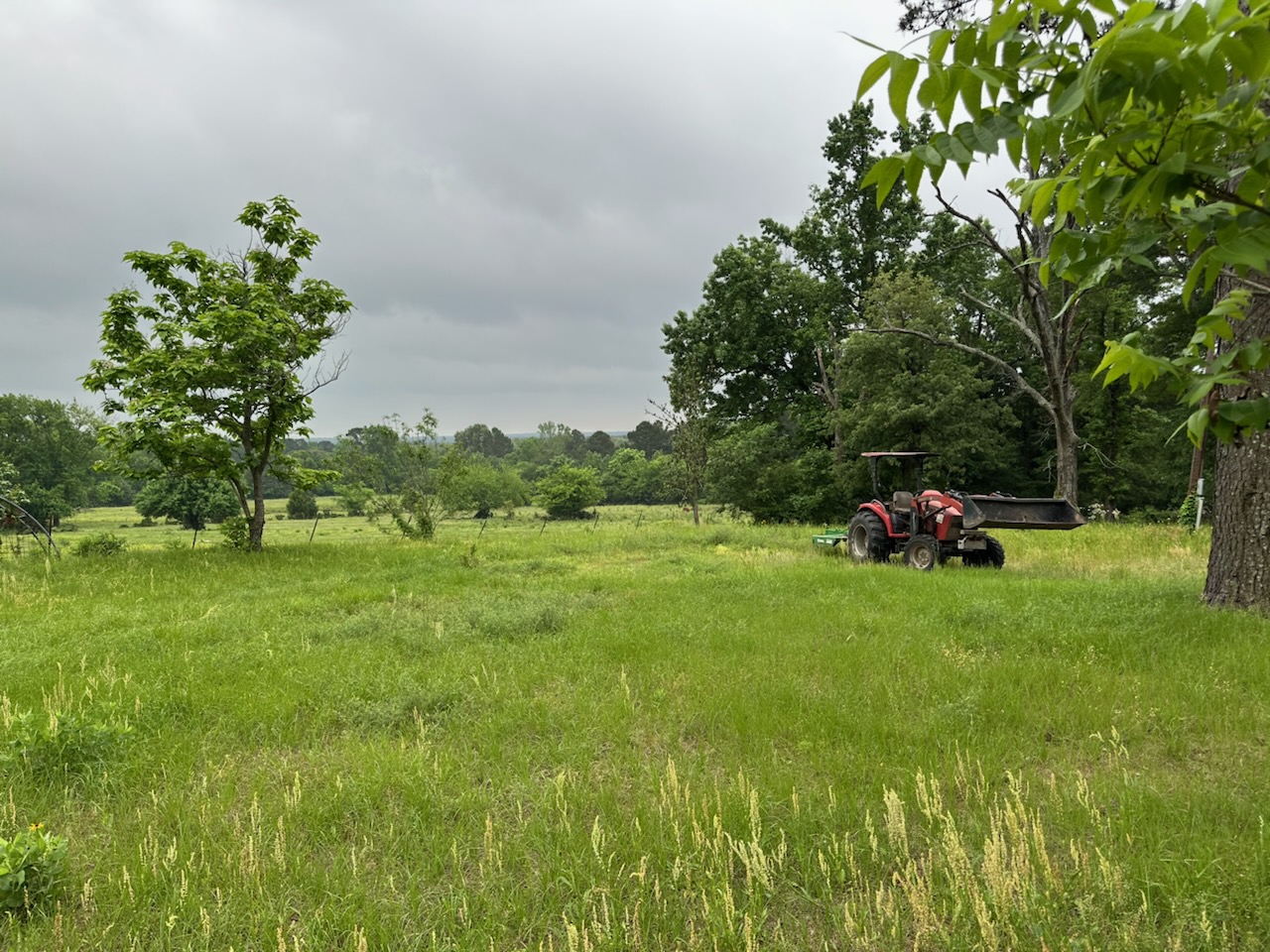 Turn Left Ranch — Henderson, TX Family Farm